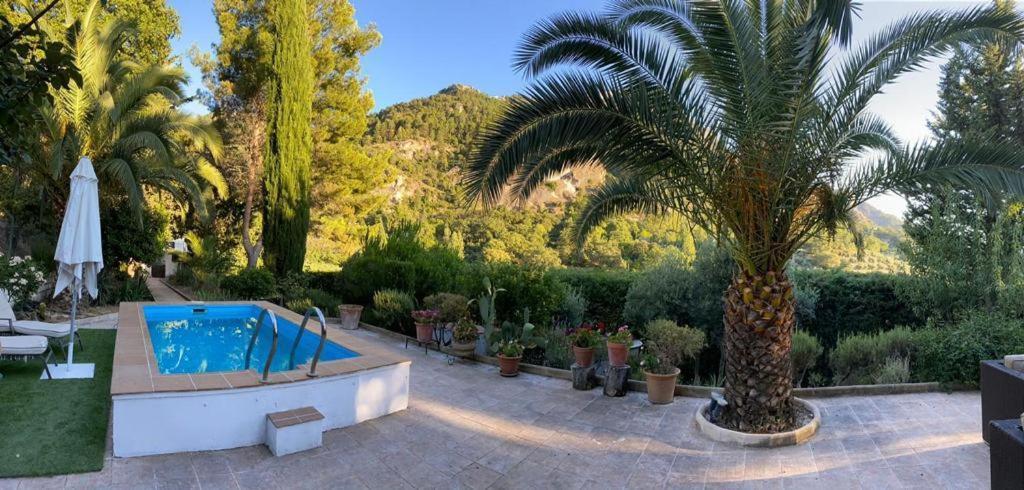 Villa Nueva Cazorla Mirador Cerro Del Escribano à La Iruela Extérieur photo